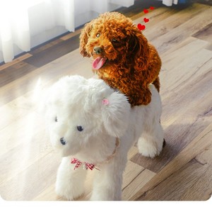 Offre Spéciale interactif mouvement dessin animé Animal <span class=keywords><strong>chien</strong></span> jouets réalistes accessoires pour animaux de compagnie dans l'emballage en carton Sexy peluche <span class=keywords><strong>chien</strong></span> jouets - Product Image 3