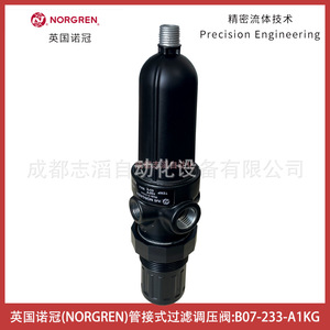 Filtre-régulateur Norgren à montage sur tuyau B07-233-A1KG 1/4 pouce, gaz pneumatique - Product Image 2