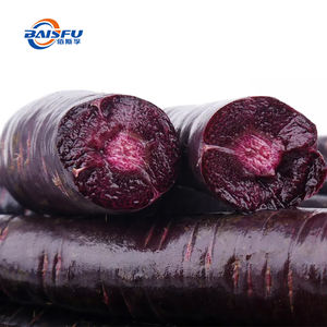 Estratto di carota viola sempre più popolare nell'industria alimentare grazie ai suoi benefici nutrizionali e al suo colore vibrante - Product Image 4