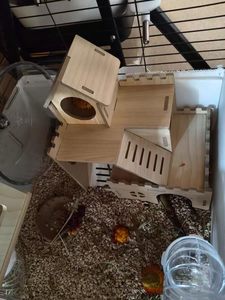 Casita de Madera de 3 Niveles Estilo Castillo para Hámster con Rampas y Plataformas de Escalada, Casa de Juegos para Hámster, Gerbil y Ratón - Product Image 4