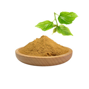 Poudre d'extrait de feuille de mûrier (1-Deoxynojirimycin DNJ 1%) de qualité alimentaire, extrait végétal du Zhejiang - Product Image 2