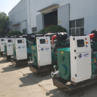 Erdgas- und Biogas-Generator mit Wasserkühlung und 24V DC Elektrostart Erdgas-Generator