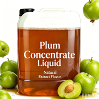 Extrait liquide de prune 100 % naturel, concentré de jus de prune pur, concentré de prune de Kakadu pour boissons et yaourts – Approvisionnement direct usine