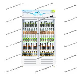 Exhibidor Refrigerador Vertical YLC-628 de Doble Puerta con Enfriamiento Directo para <span class=keywords><strong>Supermercados</strong></span>, Vitrina Refrigerada para Alimentos Frescos - Product Image 6