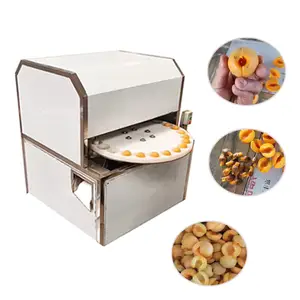 Professional Automatic Fruit Stonce Extractor Apple Core Remover Dates Pitting Machine