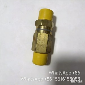 Clapet anti-retour Yueke en laiton 1,5 L/min pour compresseur à vis - Product Image 3
