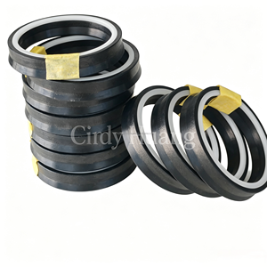 Il Sigillo Meccanico Idraulico Combinato Gab K37/<span class=keywords><strong>TSE</strong></span>/SEG Più Venduto è Realizzato in NBR, Tessuto e Anello a V in POM - Product Image 5
