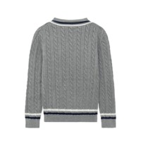 AiNear Vente en gros de logo personnalisé Design Oem & Odm Pull-over en tricot de coton à manches longues et col en V gris pour hommes Pull de cricket