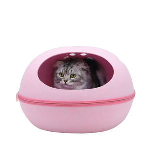Donut-Katzenbett Umweltfreundlicher Filz-Haustier-Tunnel Zweifach Nutzbar für Indoor-Training & Interaktives Sportspielzeug mit Solidem Muster für Kätzchen - Product Image 1