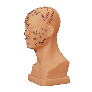 Ohrmodell für den Unterricht und Lernen in Akupunktur und Massage - Traditionelle Chinesische Medizin - Product Image 2