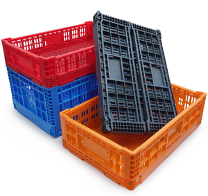 Contenitori in Plastica per Trasporto - Stoccaggio/Consegna di Frutta e Verdura - Settore Retail/Magazzino/Logistica/Industriale/Automotive - Product Image 6