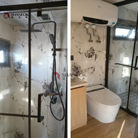 Maison préfabriquée de luxe de 40 pieds, modèle de cabane Apple détachable, capsule spatiale de taille personnalisée, conteneur SHANEOK, maison conteneur