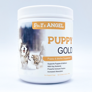 Nutrition naturelle pour chien <span class=keywords><strong>multi</strong></span>-vitamines B 12 E poudre probiotique croissance musculaire squelette supplément mère et chiot - Product Image 1