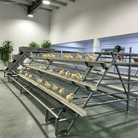 Nouvelle cage à poules pondeuses en batterie, 3 niveaux, type H, en acier, cage avicole automatique pour la production commerciale d'œufs