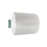Fil de Nylon 6 100/24*2 SIM Blanc Brut Certifié OEKO-TEX100 Absorbant l'humidité Fil pour Sous-vêtements Fabriqué en Chine