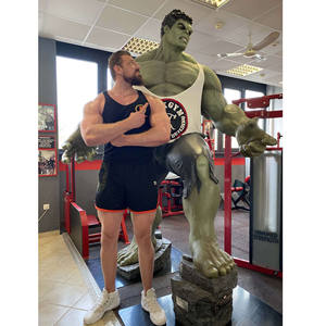 Figuritas de resina Estatuas de animales Adecuado para decoración interior y exterior FRP <span class=keywords><strong>Hulk</strong></span> Tamaño real - Product Image 4
