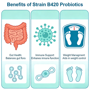Complément Probiotique pour la Santé Intestinale - Poudre Probiotique Bénéfique pour l'Hygiène Intestinale - Product Image 4
