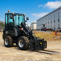 Cargadora de Construcción de 2570 kg con Certificación CE ISO, Cargadora de 4 Ruedas de Alta Potencia, Cargadora Compacta para Patio W1160 con Accesorios, Venta al Por Mayor