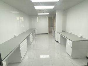 Muebles químicos, bancos y gabinetes superiores de laboratorio, gabinete de almacenamiento de productos químicos, banco de trabajo de pared lateral para empresa farmacéutica - Product Image 2