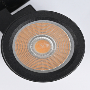 Lámpara LED para Paisajismo, Proyector de Luz para Árboles Altos, Iluminación de Jardín DMX512 RGBW, Anillo de Luz para Árboles - Product Image 5