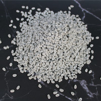 Fournir des échantillons Additif en plastique maître lot manufacture mélange maître composé de couleur CaO 65% mélange maître déshydratant pour pp/pe