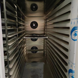 Wärmepumpentrockner für die statische Trocknung von Pasta und Spaghetti – Produktionsmaschine zur Herstellung von Nudeln – Dehydrator-Trockner-Ausrüstung - Product Image 5