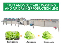 Volledig Gedroogde Groente En Fruit Ginseng Yam Mosterd Vijg Kurkuma Okra Datum Wassen Snij-En Droogmachine Productielijn