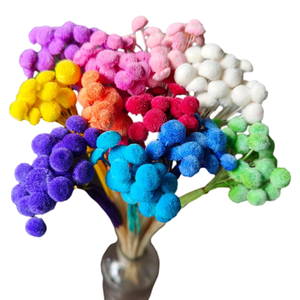 20 pièces/lot Fleurs <span class=keywords><strong>de</strong></span> bouton séchées naturelles colorées DIY Arrangements floraux Diplôme Fleurs réelles conservées longue durée - Product Image 1