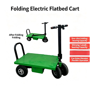 Carrito Eléctrico Personalizable de 48V con Manillar Plegable, Directo de Fábrica para Venta al Por Mayor Global - Product Image 1