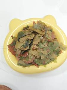 อาหารปลาแบบเกล็ดสามสี เหมาะสำหรับเพิ่มสีสันและส่<span class=keywords><strong>ง</strong></span>เสริมการเจริญเติบโตของปลาเขตร้อน - Product Image 2