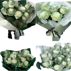 Alfalfa Fresca de Color Capuchino de la Base de Yunnan, 20 Tallos por Ramo, Pétalos de 5 cm, Cultivada <span class=keywords><strong>en</strong></span> Agua, <span class=keywords><strong>en</strong></span> <span class=keywords><strong>Venta</strong></span> - Product Image 4