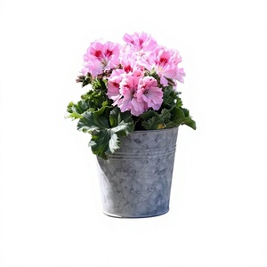 Maceta Circular de Metal Galvanizado de Zinc, Estilo Moderno, Ecológica, Ligera y Resistente a la Intemperie, Marca Amson, Venta al Por Mayor - Product Image 1