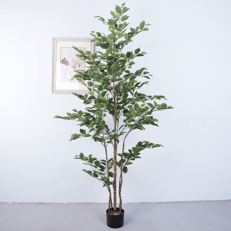 180ซม.-สีเขียวเข้ม