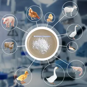 Directo de fábrica 97.5% Pure D-Biotina Vitamina H Vitamina B7 Polvo Grado de alimentación CAS 58-85-5 para aditivos animales - Product Image 1