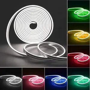 5V 12V 24V Flexible Waterproof 5m Rgb WS2811 WS2812B Neon Led Strip Light Silica Gel Soft Lamp Tube