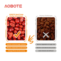 Séchoir à pompe à chaleur industriel OEM ODM en acier inoxydable pour la déshydratation des fruits (dattes rouges, longyan, baies de goji) et des légumes