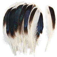 Plumes de corps de canard colvert de 6 à 8 pouces en gros, plumes d'aile de canard colvert bleues irisées pour la décoration de bijoux DIY