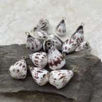 Coquillages coniques hébraïques naturels Conus Ebraeus, pendentif en acier inoxydable, breloques pour bijoux DIY, boucles d'oreilles Hawaï