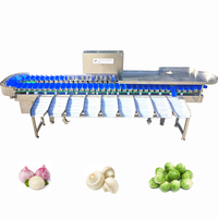 Fabrieks prijs automatische fruit- en groentesorteer-, -gradeer-, -was- en -weegmachine, capaciteit 160-280 stuks/min, vermogen 750W, sorteerstanden