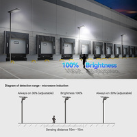 Fabricant chinois fiable de lampadaires solaires LED intégrés, qualité certifiée pour le commerce B2B mondial