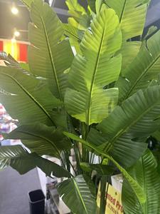 Nuovi prodotti uccello del paradiso pianta artificiale all'ingrosso falso viaggiatore palma da interno finto impianto decorativo per la casa nuovo anno Deco - Product Image 4