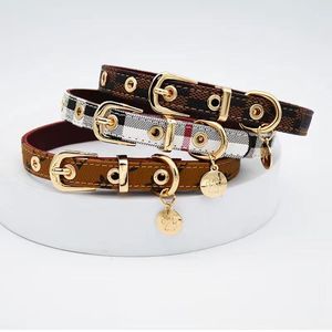 Modische Marken-Hundeleine mit Brust- und Rückengurt, Halsband und Halsschmuck - Product Image 3