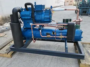 Compressore dell'unità di refrigerazione a pistone Zhongsheng compressore dell'unità di condensazione del congelatore raffreddato ad aria per cella frigorifera di Frascold