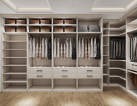 Vente en gros Armoire moderne en bois pour la chambre à coucher Armoire personnalisée de style shaker Robe de promenade en bois