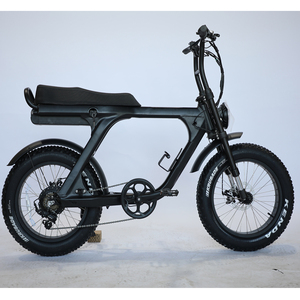 ATV08N de 1000W con Motor Dual de 20 Pulgadas, 2 Asientos, Modelo Ruff - Product Image 2