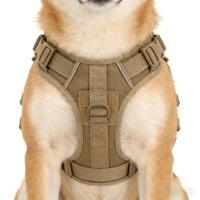 Conjunto de Arnés, Collar y Correa de Nailon para Perro, Diseño Ajustable para Perros Pequeños, Medianos y Grandes, Cómodo para Paseos Diarios
