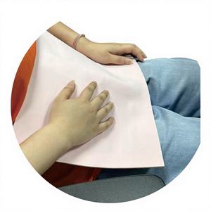 Film chauffant en graphène carré <span class=keywords><strong>d</strong></span>'hiver, directement de l'usine, pour <span class=keywords><strong>lit</strong></span> pour animaux de compagnie, cage, <span class=keywords><strong>d</strong></span>émarrage/arrêt automatique intelligent, éponge en laine, doux, fin, portable - Product Image 1