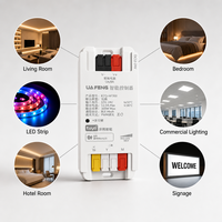 Driver LED Dual Output Tuya Zigbee Smart Dimmer BLE Mesh 2.0 12-24V 300W PWM Dimmable SELV