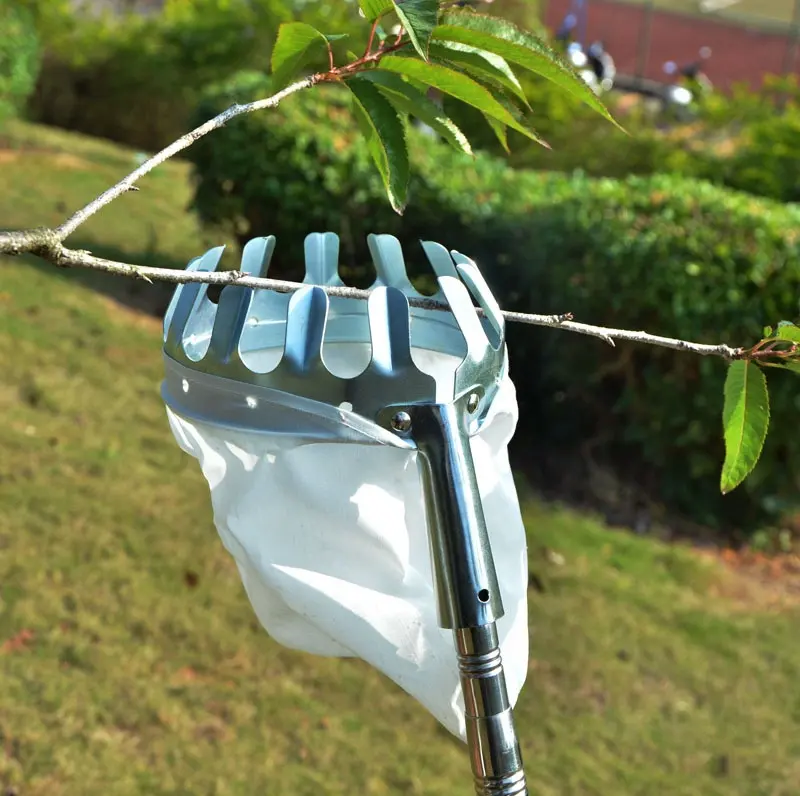 Manico telescopico palo raccolta giardino attrezzi per la raccolta della frutta cesto albero raccoglitore di frutta con palo