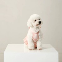 Vente chaude en gros, pull en tricot doux et confortable, mignon, en polyester, pour chien, été, hiver, chaud, écologique, robe jupe